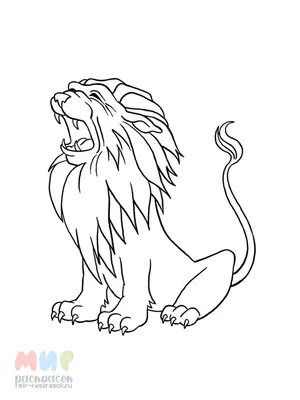 Картина для интерьера лев царь зверей, грозный грива льва, лев на черном  фоне (46) 30х40 - купить по низкой цене в интернет-магазине OZON (998610760)