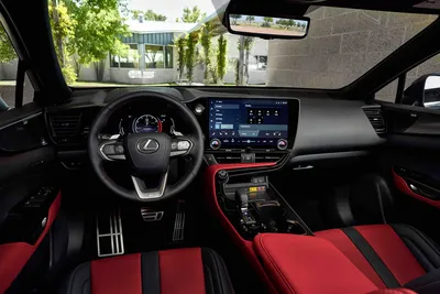 2024 Lexus NX 250 review | CarExpert