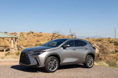 2024 Lexus NX Prices, Reviews, and Photos - MotorTrend