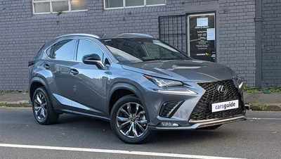 2022 Lexus NX First Drive Review: Poise, Power, Parsimony