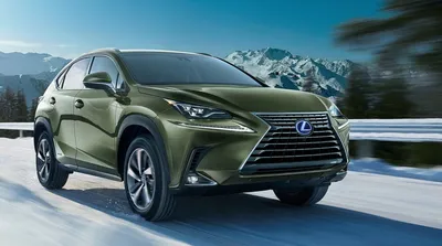 The 2020 Lexus NX Is the Perfect Family Vehicle - Lexus of Huntsville Blog