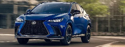 2024 Lexus NX