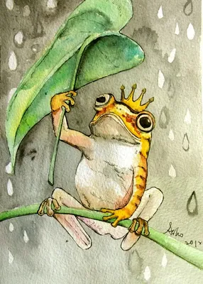 frog pictures | Легкие рисунки, Рисунки лягушек, Милый рисунок