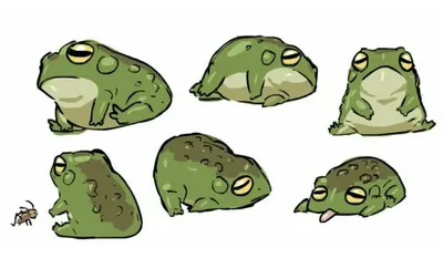 Рисунки лягушки для срисовки (49 фото)