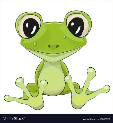 иллюстрация зеленой лягушки, лягушка, зеленая лягушка, нарисованный,  животные, рука png | Klipartz