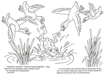 Иллюстрация 1 из 1 для Лягушка-путешественница | Лабиринт - книги.  Источник: Лабиринт