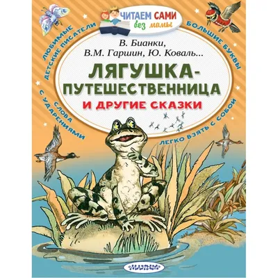 Книга BHV Лягушка-путешественница купить по цене 387 ₽ в интернет-магазине  Детский мир