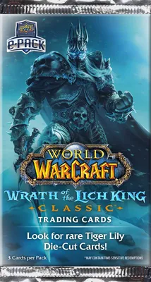 WoW: Wrath of the Lich King Launch - Copper Ice