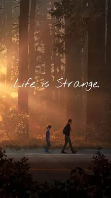 Life is strange