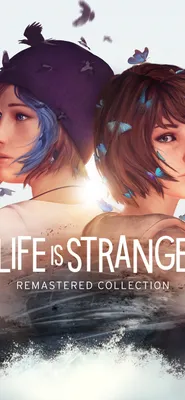 I Photoshopped the Words out of the LIS:BTS Wallpaper to make a Twitch  Scene, feel free to use it yourself. : r/lifeisstrange
