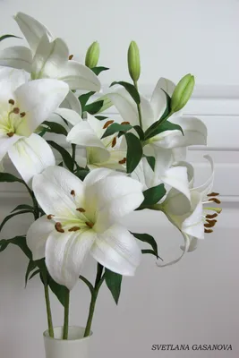 15 белых лилий в букете за 12 090 руб. | Бесплатная доставка цветов по  Москве