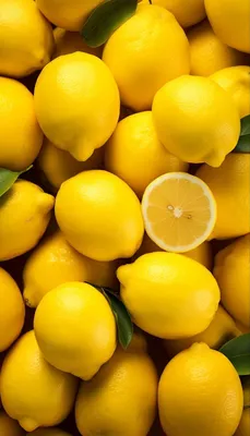 Обои лимоны 🍋 lemon | Yellow fruit, Fruit love, Fruits images