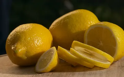 Лимон на гидропонике. Как вырастить лимон на гидропонике?