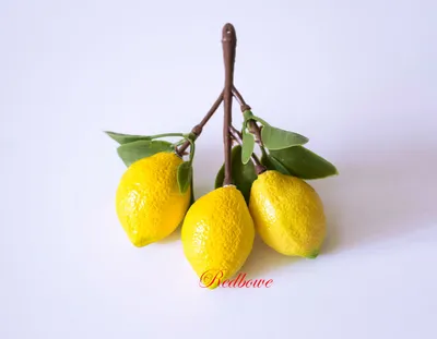 Обои для рабочего стола 2 лимона и 1 в нарезке Лимоны Еда Фрукты