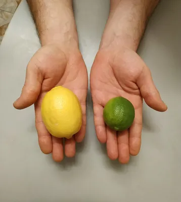 Лучшие удобрения для лимона