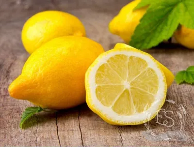 ЛИМОН ПАВЛОВСКИЙ: купить саженцы лимона павловский почтой | PLOD.UA