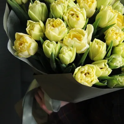 Лимонные тюльпаны - букет с доставкой - Sever Flowers