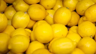 Лимоны купить по доступным ценам в Москве | Фермерский интернет-магазин  «Едим Своё»