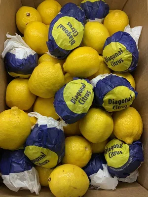 свежие лимоны лучшие лимоны для лимонов для лимонов, фрукты, желтый,  счастливый фон картинки и Фото для бесплатной загрузки