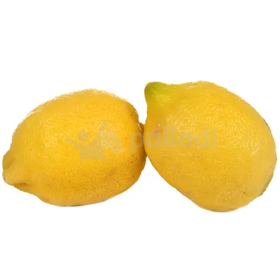 Лимоны 1 кг - купить по выгодной цене | Интернет магазин \"Greenwich\"