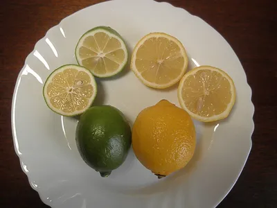 Лимоны сушеные 50 г – купить в Москве в интернет-магазине Greelife