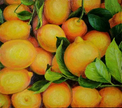 лимоны. свежие сочные лимоны с листьями на белом фоне Стоковое Фото -  изображение насчитывающей диетпитание, положение: 214465762
