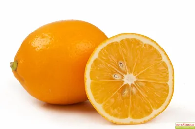 Диетолог рассказала, кому нужно с осторожностью есть лимоны – Москва 24,  02.03.2022