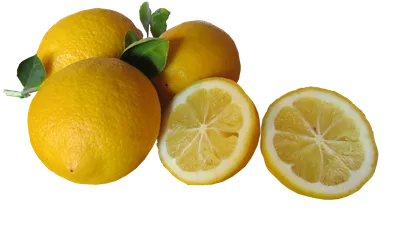 Лимоны вес - купить с доставкой | Интернет-магазин Добрянка