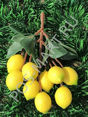 Лимоны крупные, реалистичные, Фрукты декоративные, муляжи, 7,5 см, набор 3  штуки. – купить в Казани | «С Нежностью»