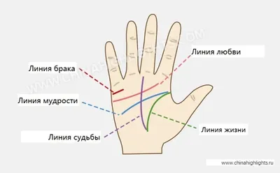 Линия Брака. Как узнать по руке сколько будет браков и отношений?  Хиромантия - YouTube