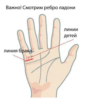 Линии на руке: что означают и как выглядят