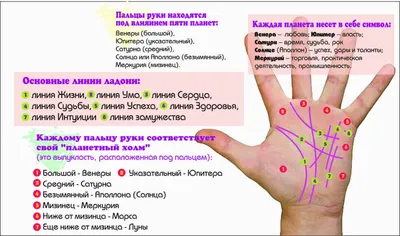 Хиромант рассказала, как определить счастливый брак по руке