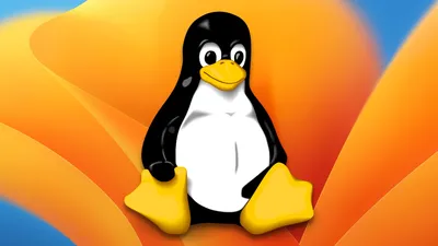 Kali Linux. Обои для рабочего стола. 3840x2160