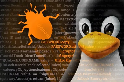Why Linux is the Most Popular Operating System