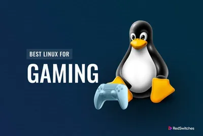 Top 7 Best Linux OS For Gaming In 2024