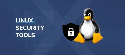Framework | Linux Compatibility on the Framework Laptop