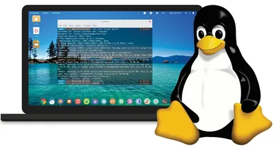 Why Linux is the Most Popular Operating System