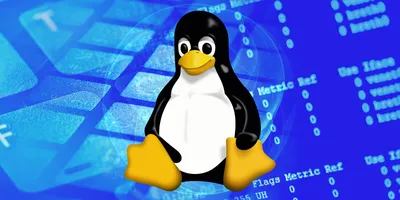 The Making of Linux: The World's First Open-Source Operating System -  YouTube