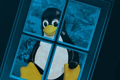 Every Year is Someone's Year of Linux Desktop