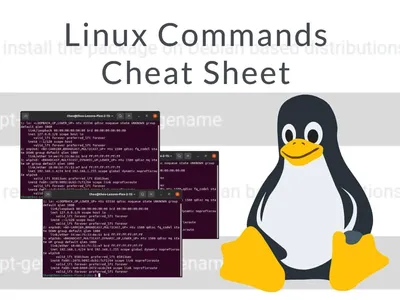 Features of Linux Operating System| Scaler Topics