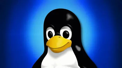 Top 50+ Linux Commands You MUST Know | DigitalOcean