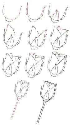 Рисунки карандашом легкие и красивые поэтапно маленькие (50 фото) » рисунки для  срисовки на Газ-квас.ком