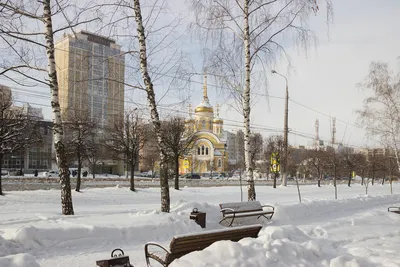 ОДСК Липецк – купить квартиру в новостройке от застройщика в Липецке по  выгодным ценам