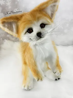 Домашнее животное лиса с большими ушами - 75 фото
