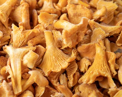 Купить грибы лисички сухие по низкой цене в интернет магазине Moroshka.ru