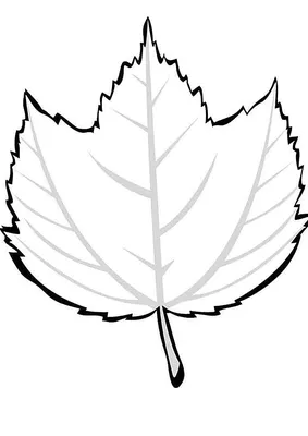 рисованная картина лиственных деревьев осенью PNG , Ручной росписью,  кленовые листья, дерево PNG картинки и пнг PSD рисунок для бесплатной  загрузки