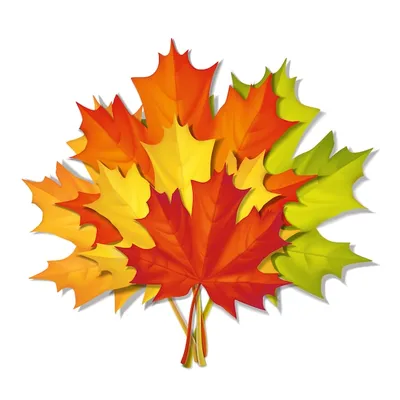 клен листьев осени стоковое фото. изображение насчитывающей изменение -  12264842