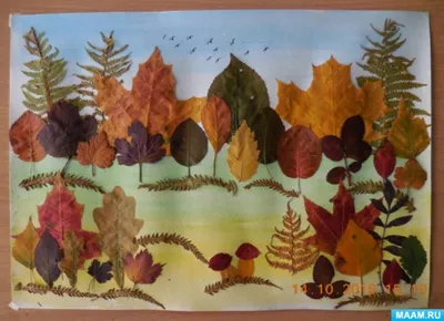 красивая куча осенних листьев и листьев разного цвета Фон Обои Изображение  для бесплатной загрузки - Pngtree