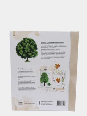 Трафарет Луч Листья деревьев купить по цене 39.9 ₽ в интернет-магазине  Детский мир