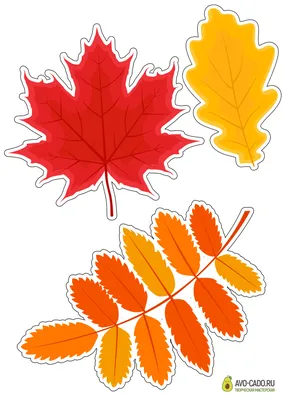 Листья осени стоковое фото. изображение насчитывающей цветасто - 31059620